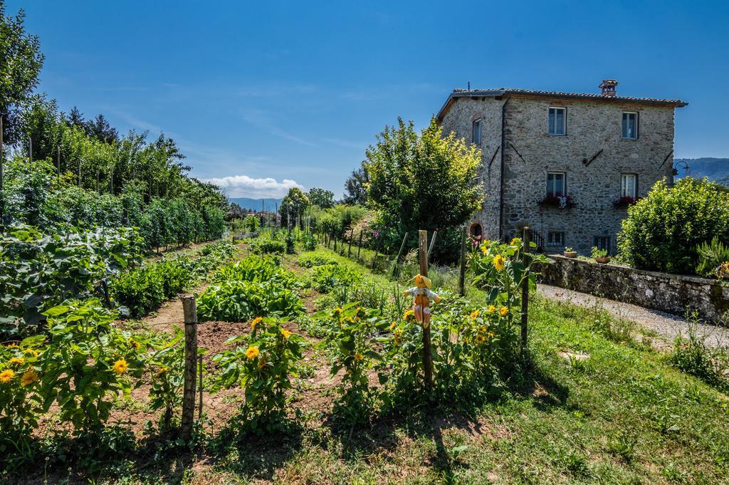 Agriturismo Chioi Барга Экстерьер фото